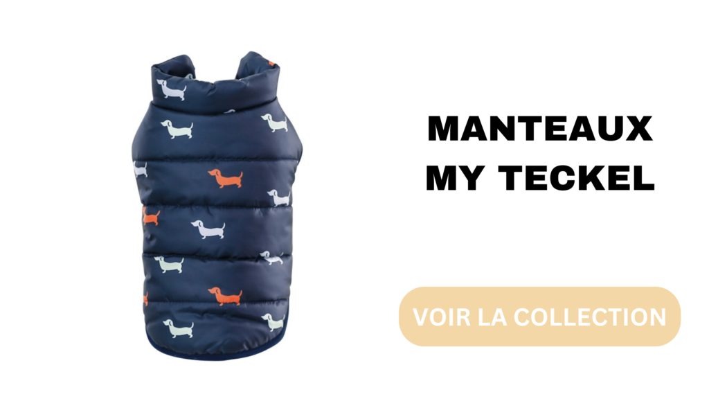 Bannière Manteaux Teckel